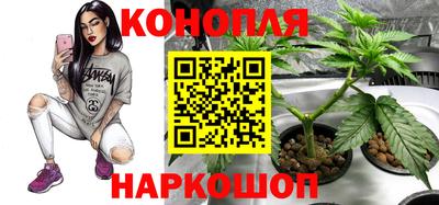 соль ск Кандалакша