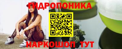 амф Камышлов