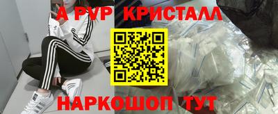 амф Камышлов